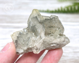 Baryte with Pyrite Specimen #1