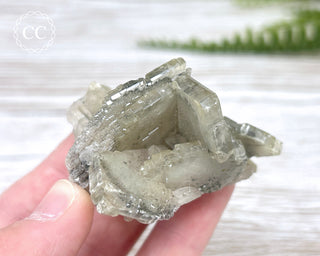 Baryte with Pyrite Specimen #1