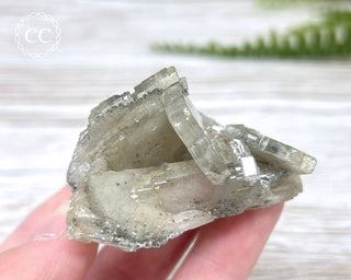 Baryte with Pyrite Specimen #1
