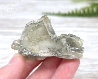 Baryte with Pyrite Specimen #1