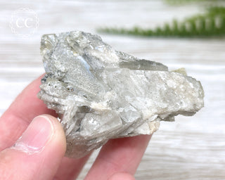Baryte with Pyrite Specimen #1