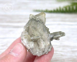 Baryte with Pyrite Specimen #1