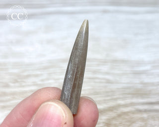 Belemnite - UK #1