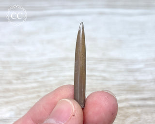 Belemnite - UK #5