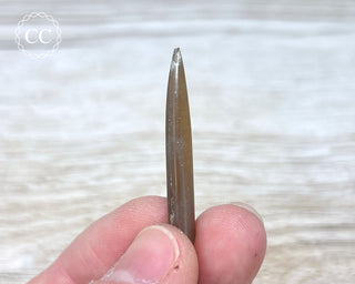 Belemnite - UK #5
