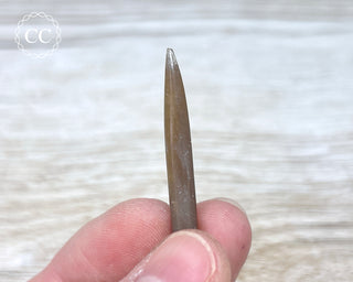 Belemnite - UK #5