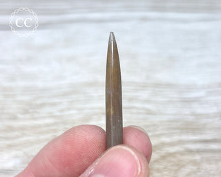 Belemnite - UK #5