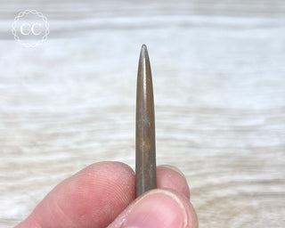 Belemnite - UK #5