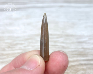 Belemnite - UK #2