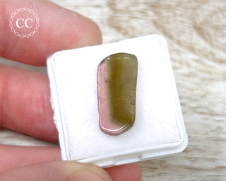 Bi Colour Tourmaline Polished #26