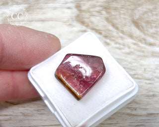 Bi Colour Tourmaline Polished #34