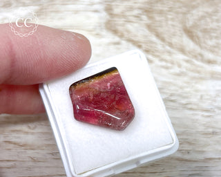 Bi Colour Tourmaline Polished #34
