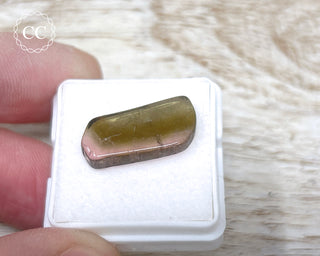 Bi Colour Tourmaline Polished #26