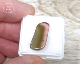 Bi Colour Tourmaline Polished #26