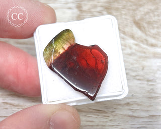 Bi Colour Tourmaline Polished #28