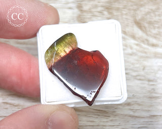 Bi Colour Tourmaline Polished #28