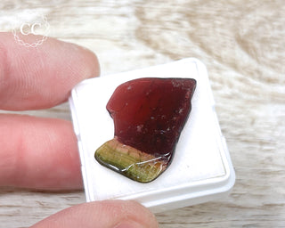 Bi Colour Tourmaline Polished #28