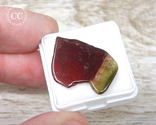 Bi Colour Tourmaline Polished #28