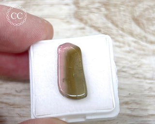 Bi Colour Tourmaline Polished #26