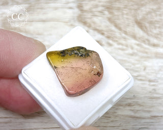Bi Colour Tourmaline Polished #31