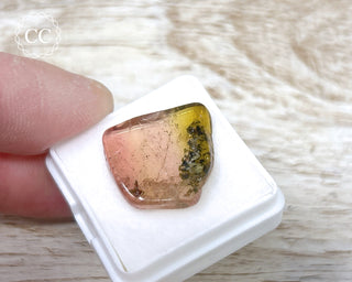 Bi Colour Tourmaline Polished #31