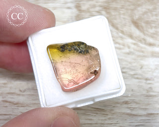 Bi Colour Tourmaline Polished #31