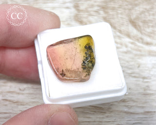 Bi Colour Tourmaline Polished #31
