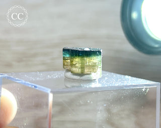 Bi Colour Tourmaline Crystal #1