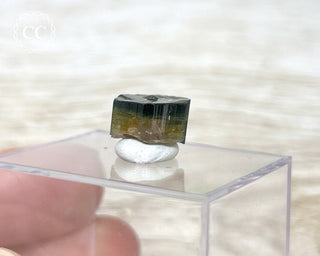 Bi Colour Tourmaline Crystal #1