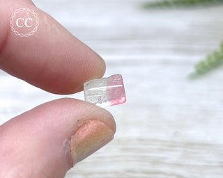 Bi Colour Tourmaline Polished #2