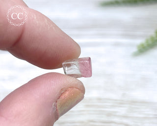 Bi Colour Tourmaline Polished #2