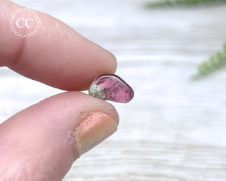 Bi Colour Tourmaline Polished #5