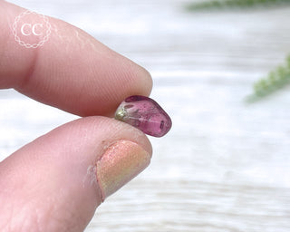 Bi Colour Tourmaline Polished #5