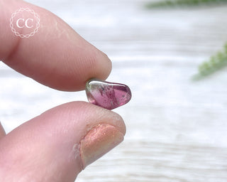Bi Colour Tourmaline Polished #5