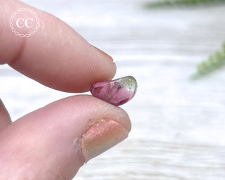 Bi Colour Tourmaline Polished #5