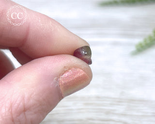 Bi Colour Tourmaline Polished #5