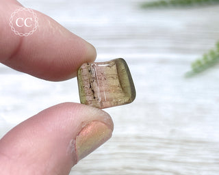 Bi Colour Tourmaline Polished #9