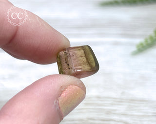 Bi Colour Tourmaline Polished #9
