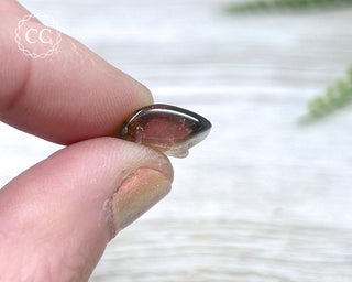Bi Colour Tourmaline Polished #9