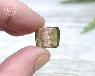 Bi Colour Tourmaline Polished #9