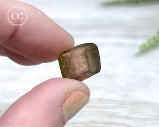 Bi Colour Tourmaline Polished #9