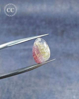 Gemstone Tweezers holding a Bi Coloured Tourmaline Cabochon from Siberia 