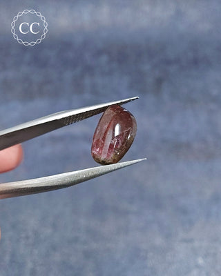 Bi Coloured Tourmaline Cabochon - Siberia #13