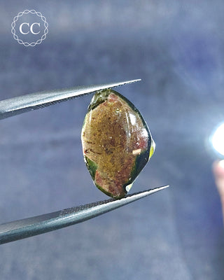 Gemstone Tweezers holding a Bi Coloured Tourmaline Cabochon from Siberia 