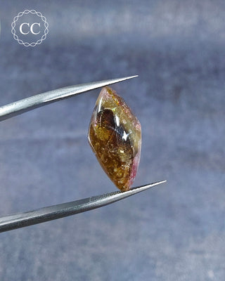 Gemstone Tweezers holding a Bi Coloured Tourmaline Cabochon from Siberia 