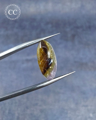 Gemstone Tweezers holding a Bi Coloured Tourmaline Cabochon from Siberia 