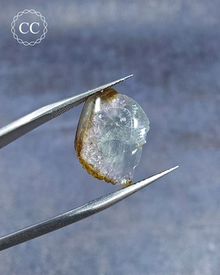 Gemstone Tweezers holding a Bi Coloured Tourmaline Cabochon from Siberia 