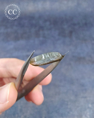 Bi Coloured Tourmaline Cabochon - Siberia #16