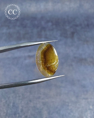 Gemstone Tweezers holding a Bi Coloured Tourmaline Cabochon from Siberia 