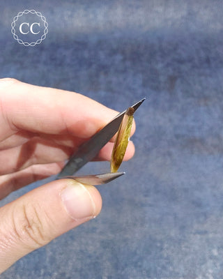 Bi Coloured Tourmaline Cabochon - Siberia #17